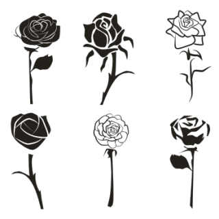 玫瑰花矢量圖免費下載plt-cdr-ai格式